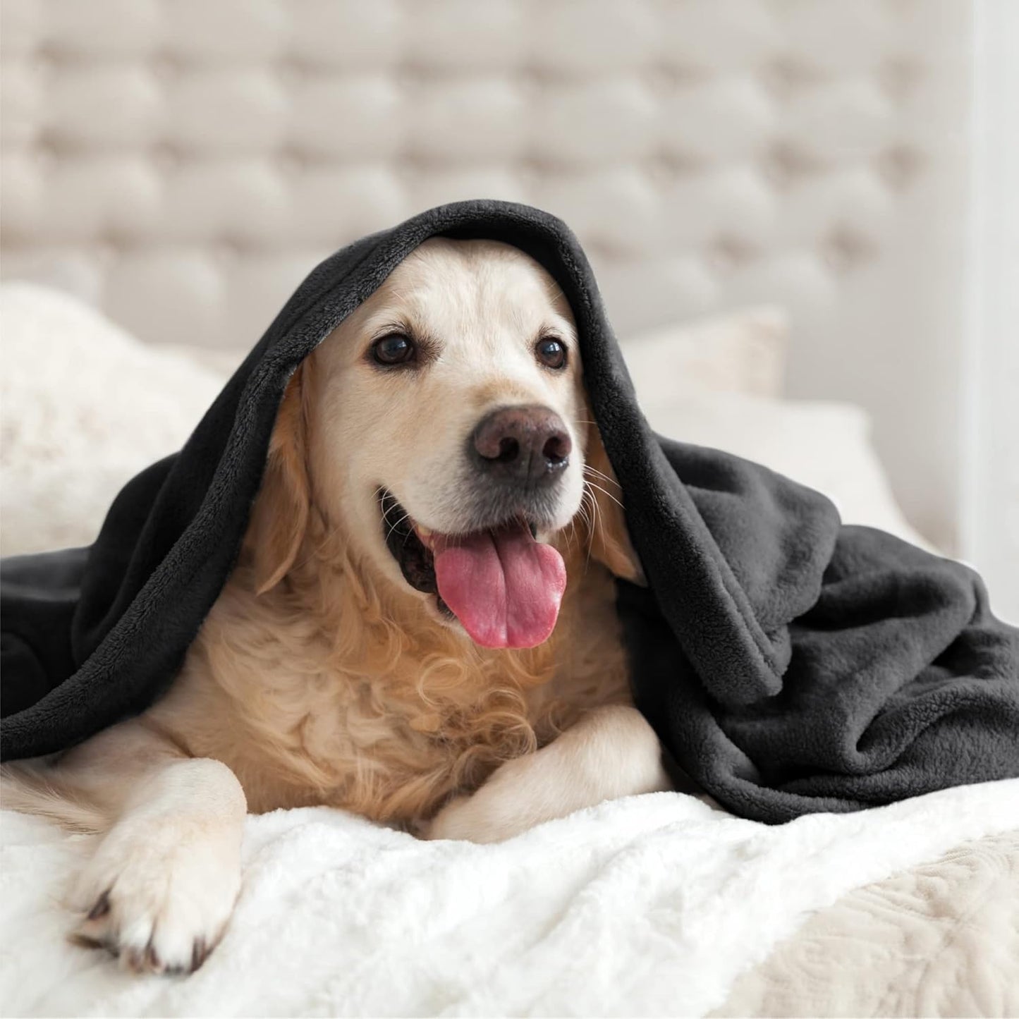 FLUFFY FLEECE BLANKET